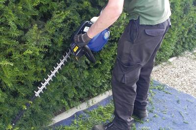 Hyundai HYT2622-II hedgetrimmer - image:HW